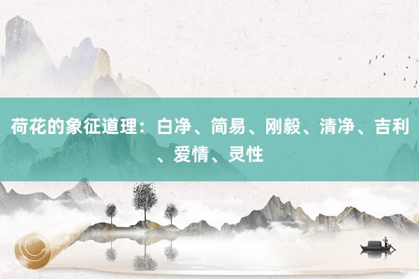 荷花的象征道理：白净、简易、刚毅、清净、吉利、爱情、灵性