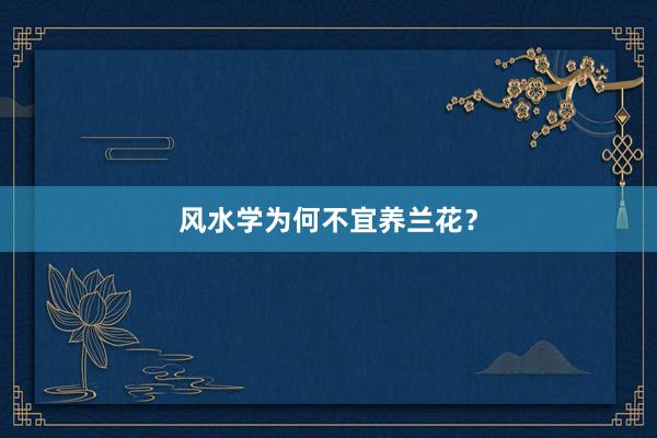 风水学为何不宜养兰花？