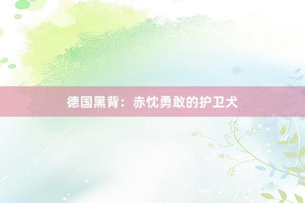 德国黑背：赤忱勇敢的护卫犬