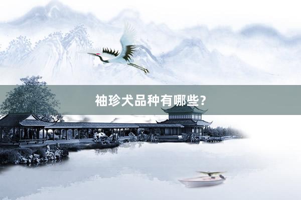 袖珍犬品种有哪些?