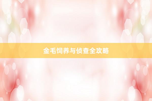 金毛饲养与侦查全攻略